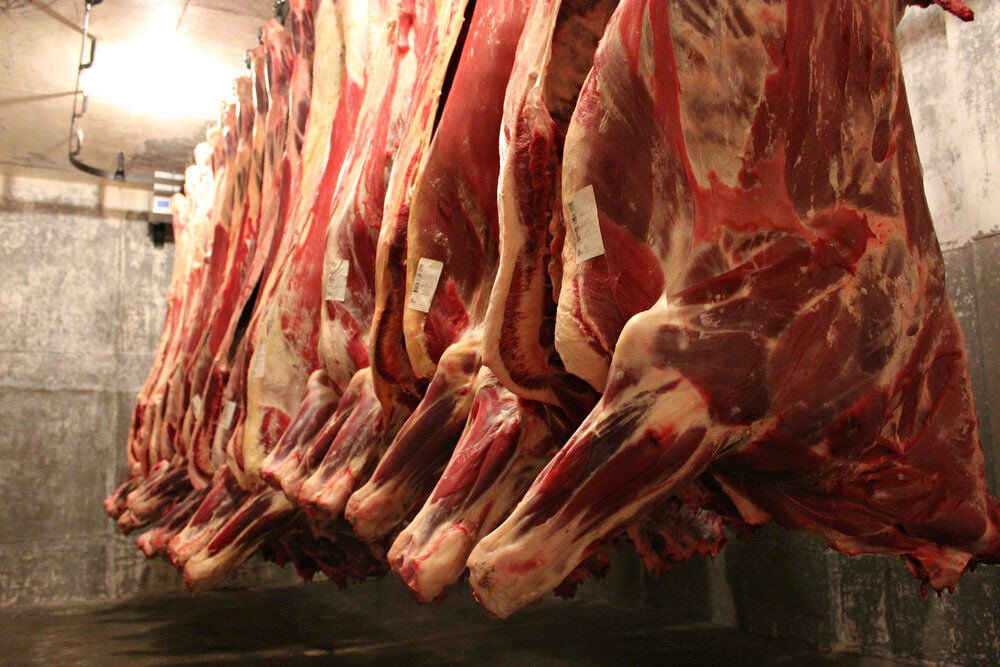 beef carcasses